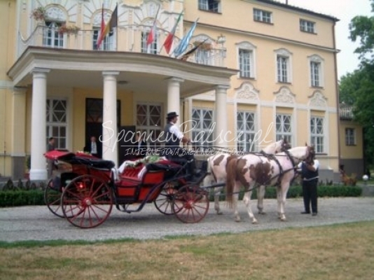 noclegi Pałac Witaszyce