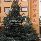 Hotel Turkus Jarosaw - spaniewpolsce.pl