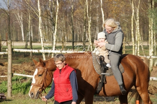 Stajnia Zadora w Zajączkowie